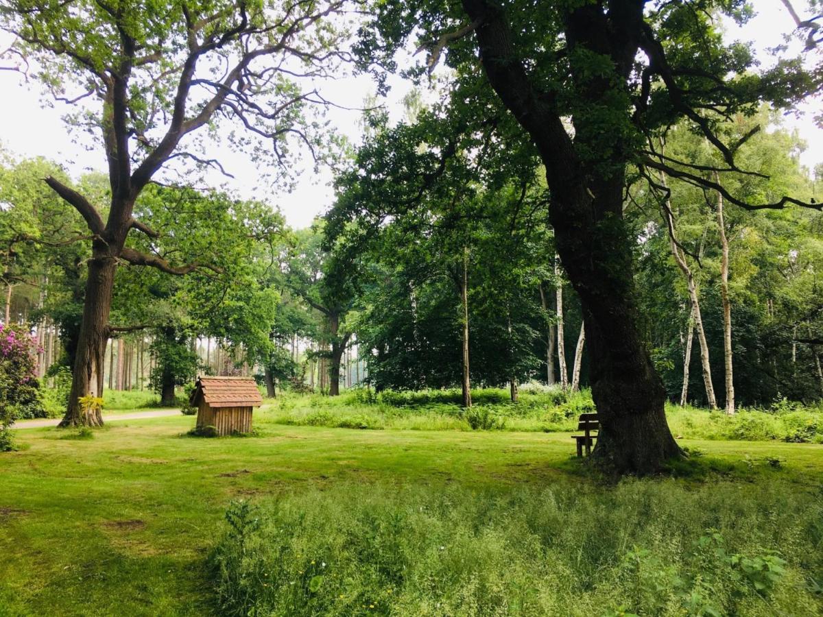 Hollicarrs Holiday Park - Hares Leap Riccall Zewnętrze zdjęcie