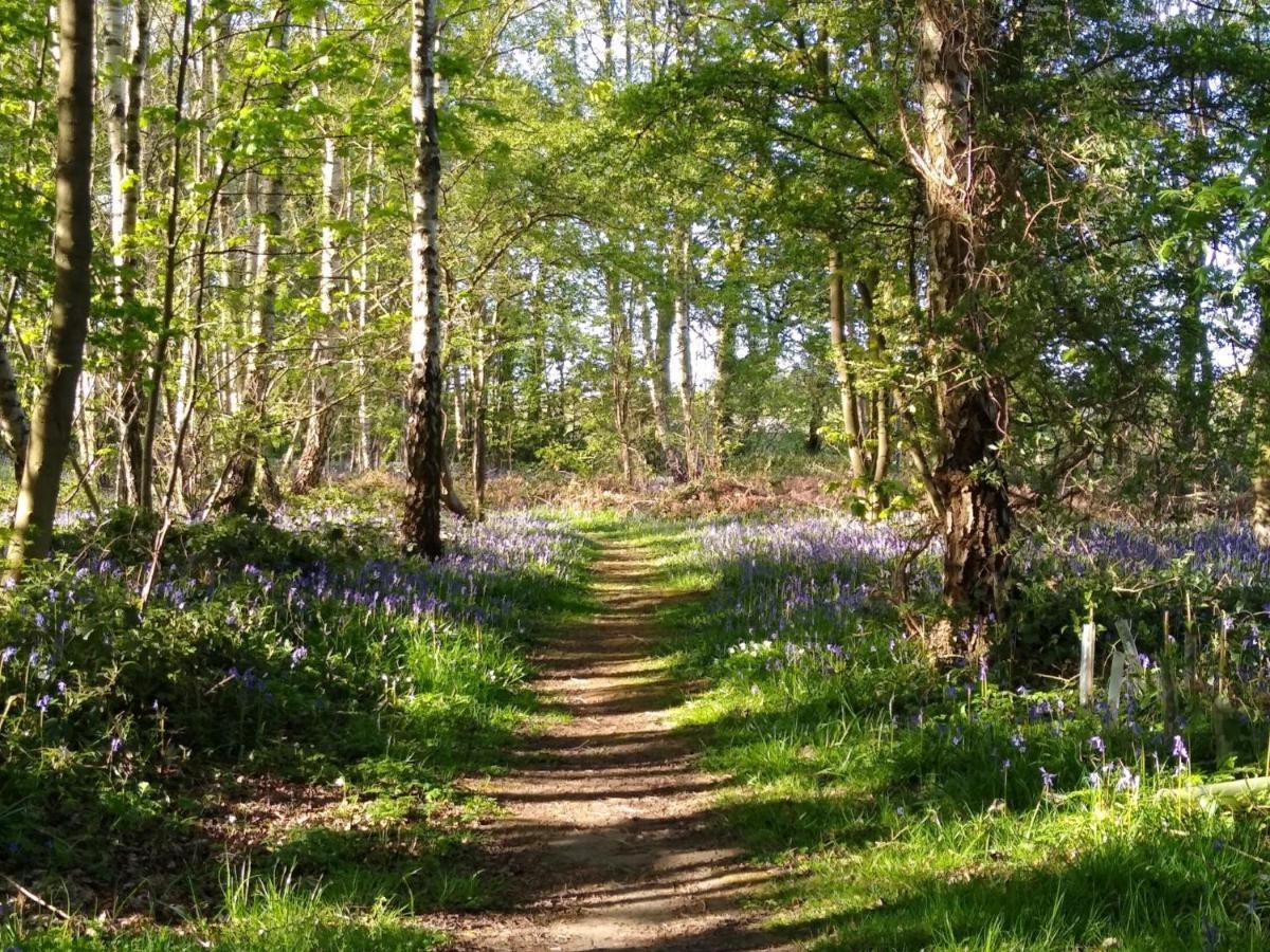Hollicarrs Holiday Park - Hares Leap Riccall Zewnętrze zdjęcie